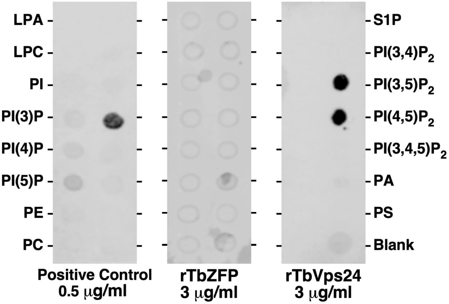 Fig 7.