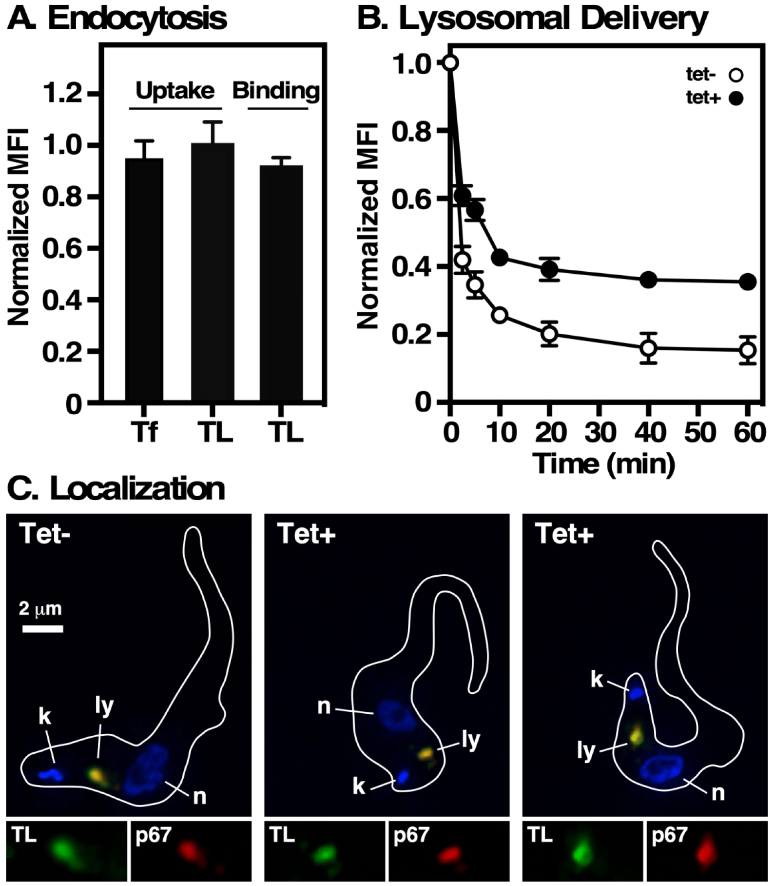 Fig 5.