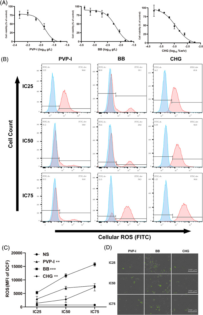 FIGURE 3