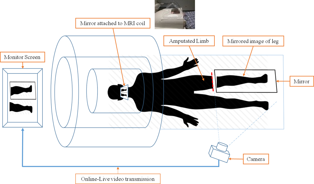 Figure 3: