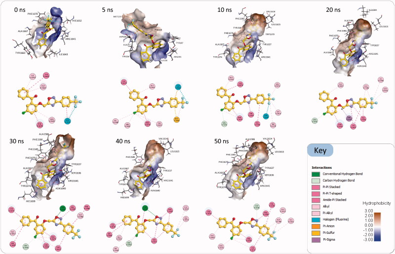 Figure 6.