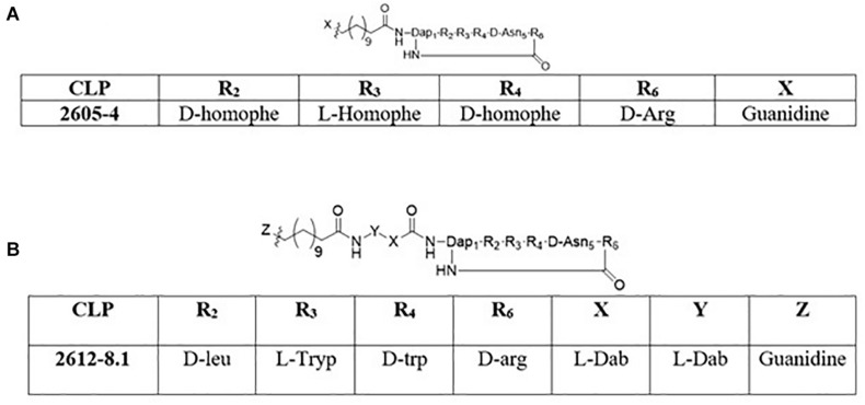 FIGURE 1