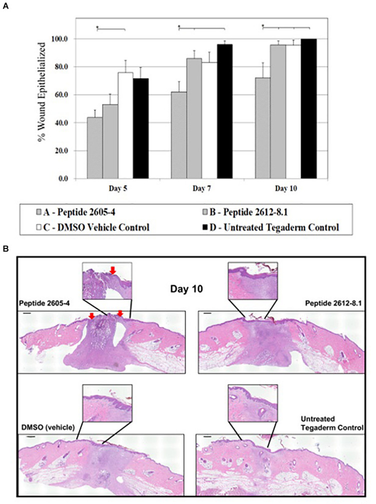 FIGURE 4