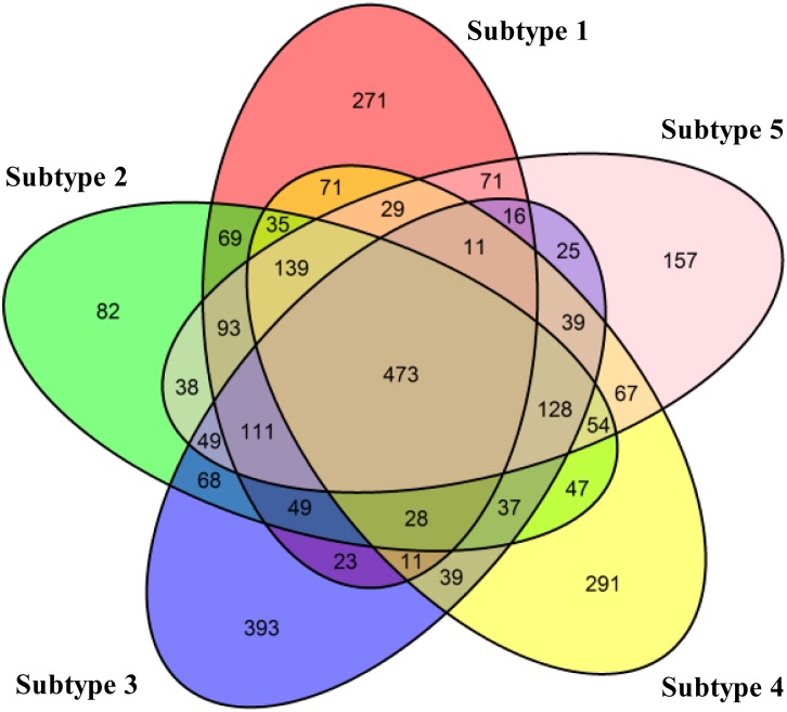 Fig 6