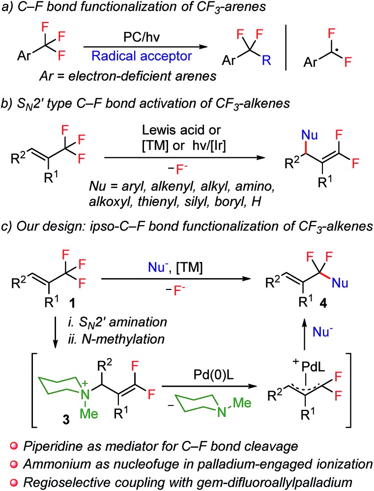 Scheme 1