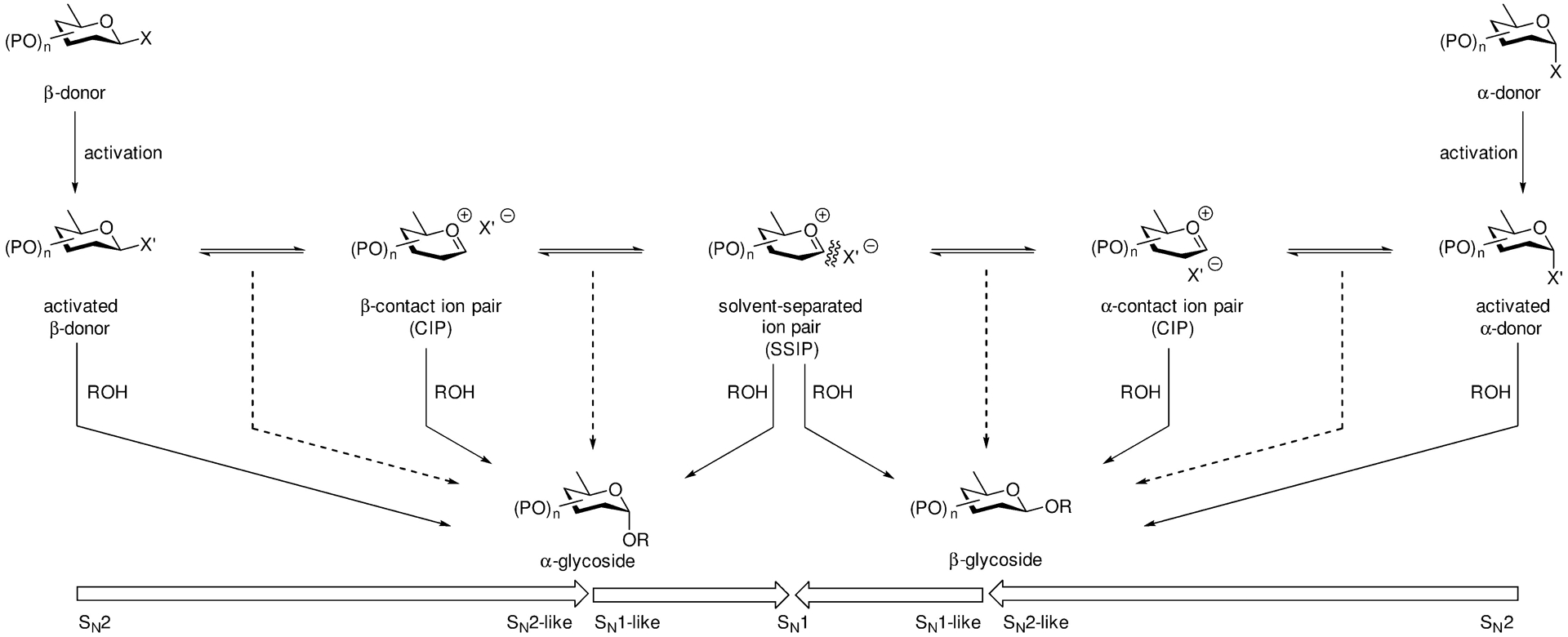 Scheme 1.