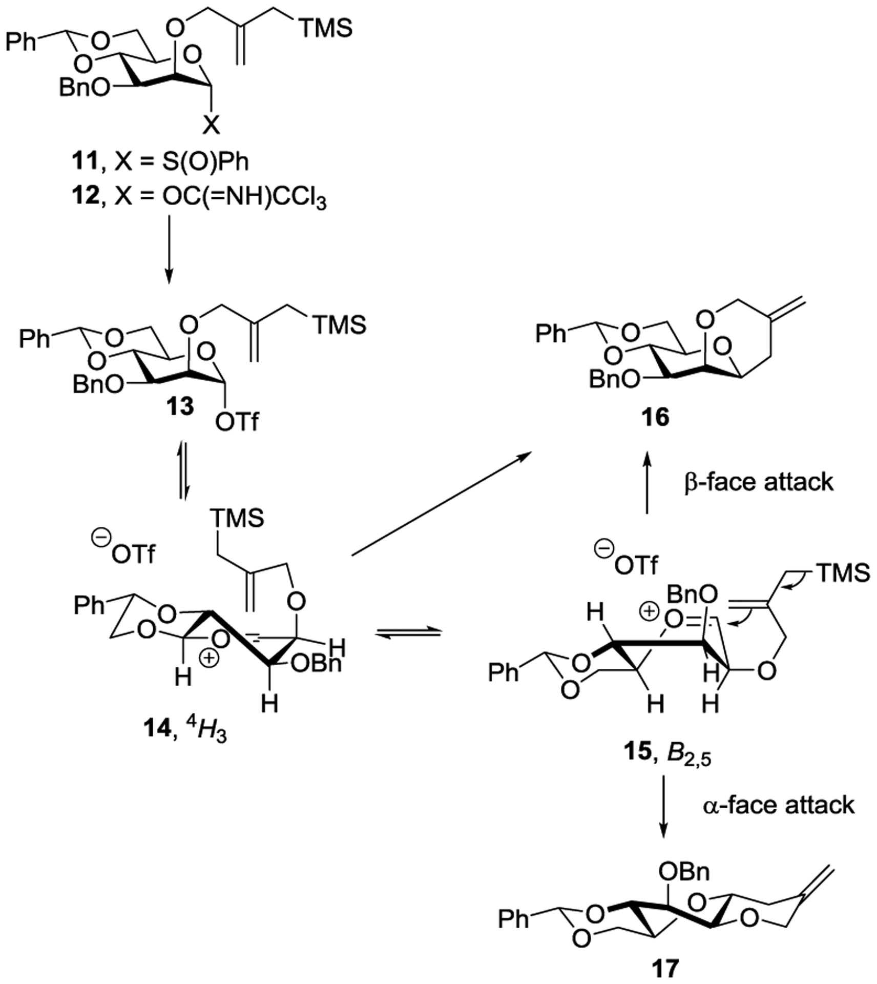 Scheme 4.