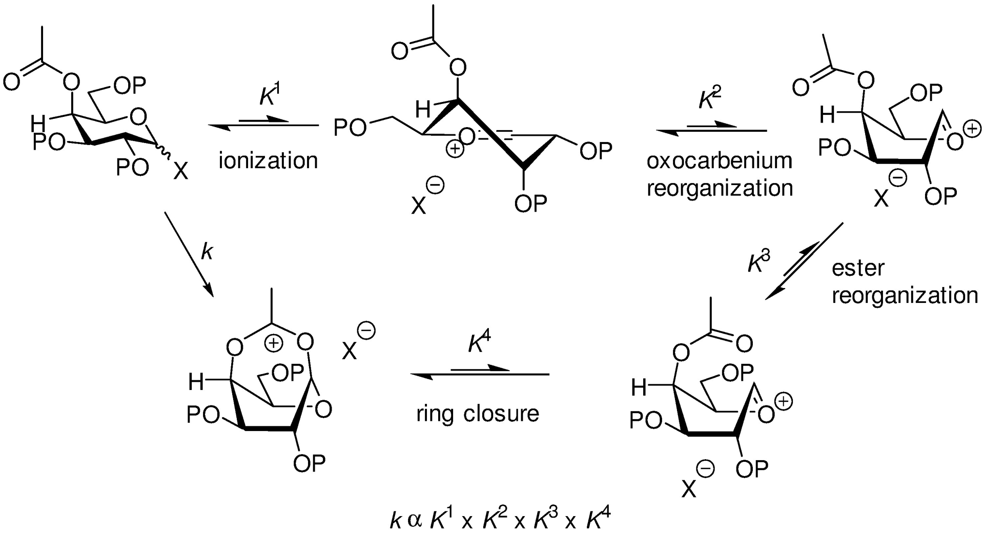 Scheme 8.