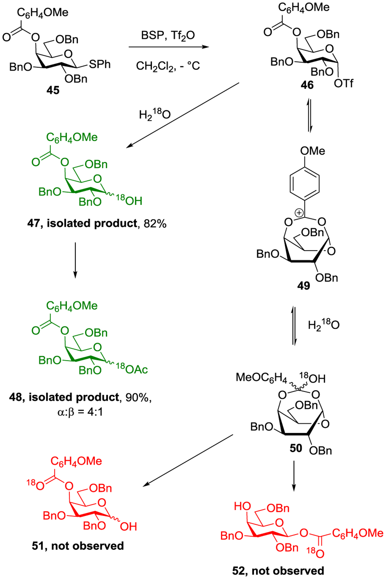 Scheme 9.