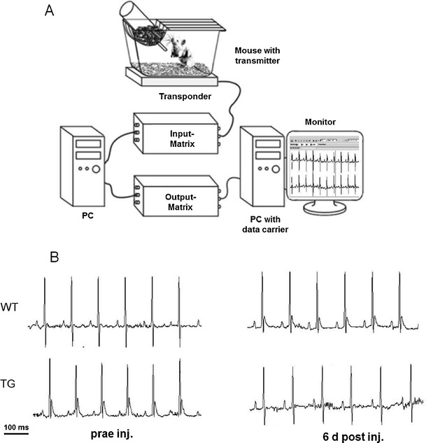 Fig. 6