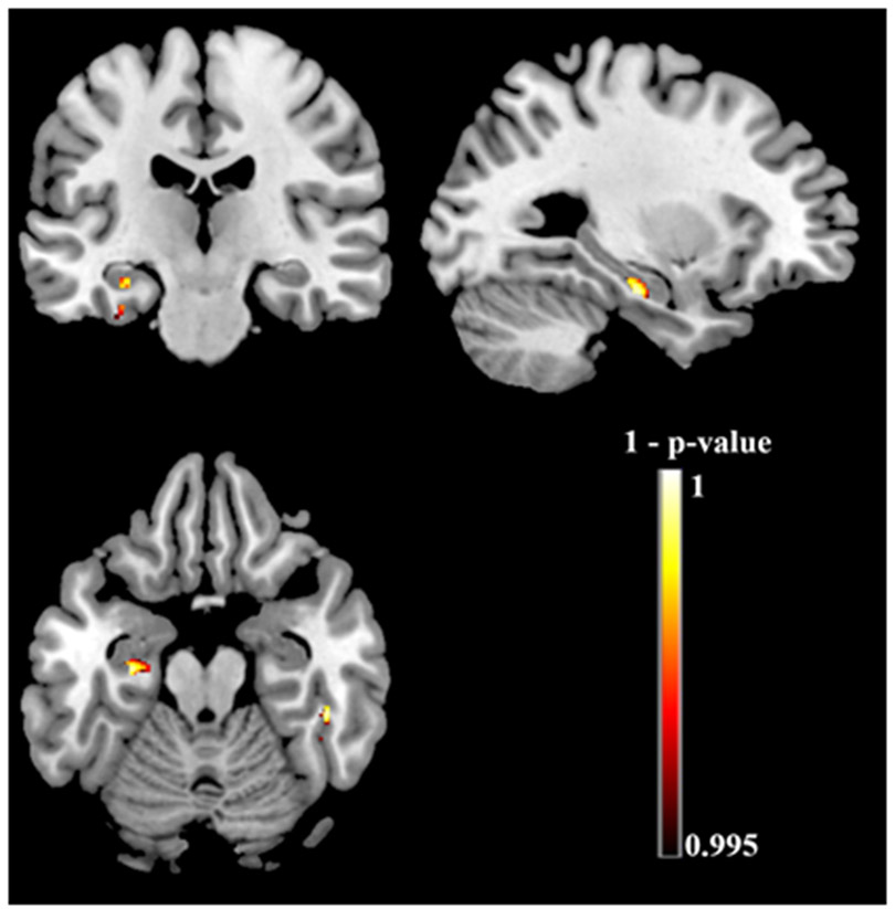 Figure 5.