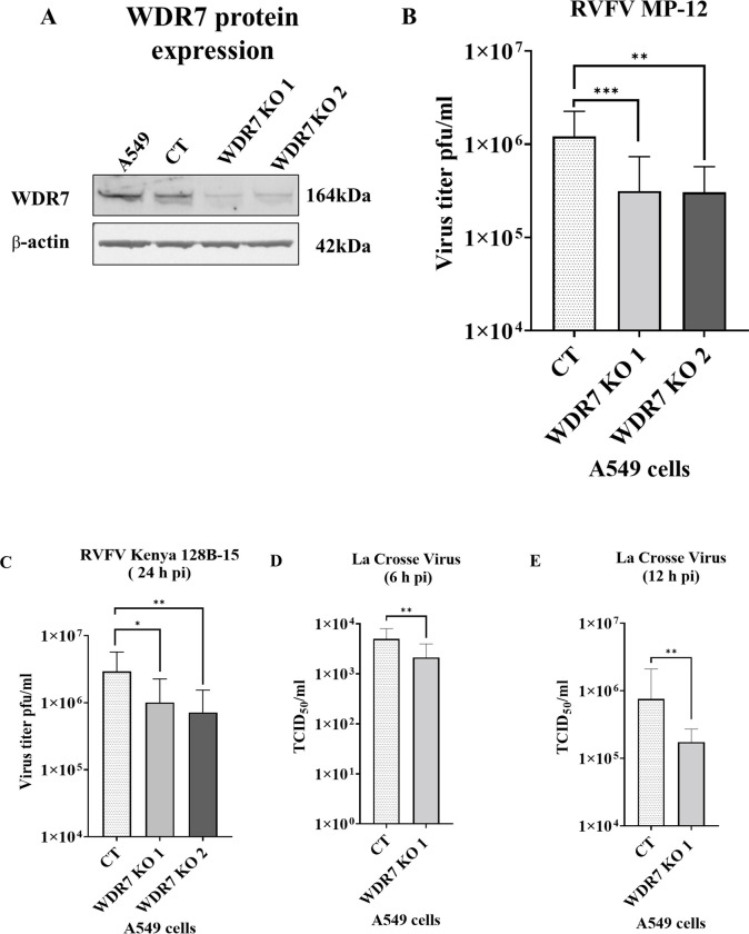 Fig 3: