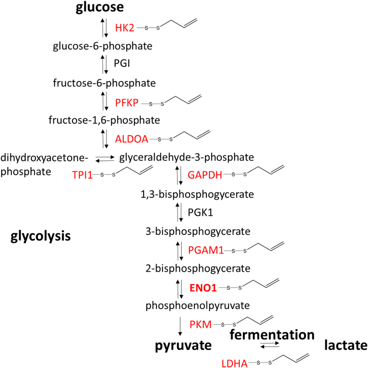 Fig. 8