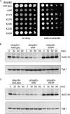 FIG 4