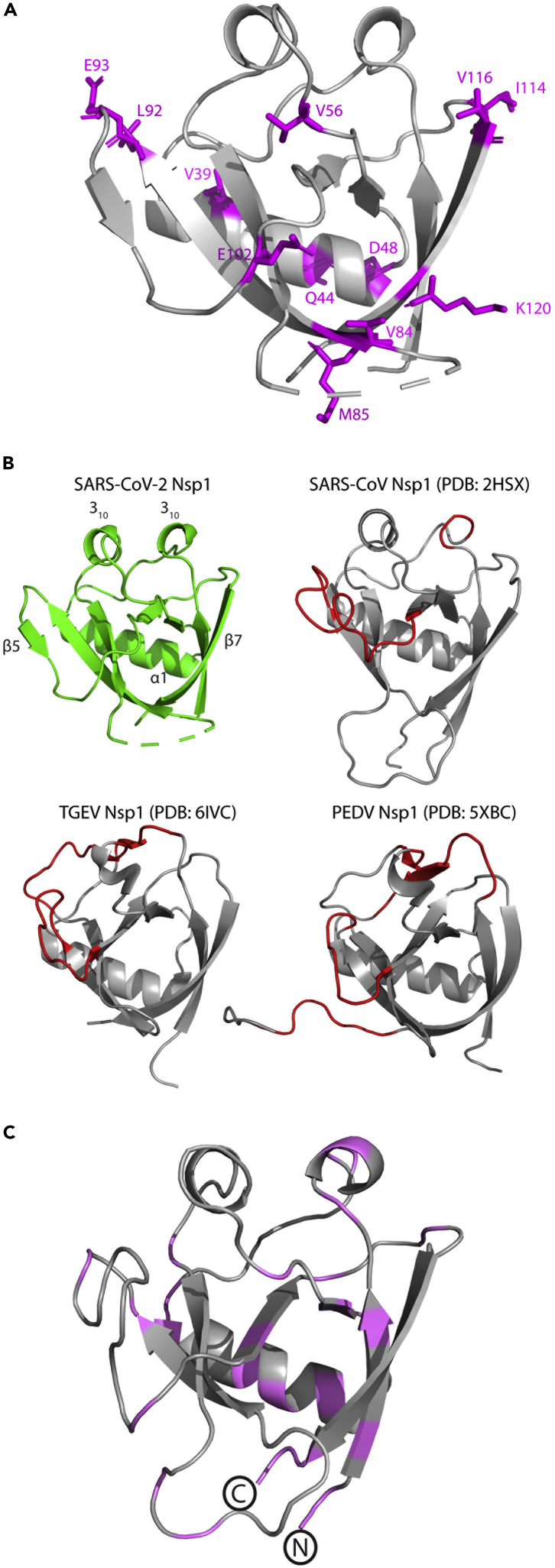 Figure 3