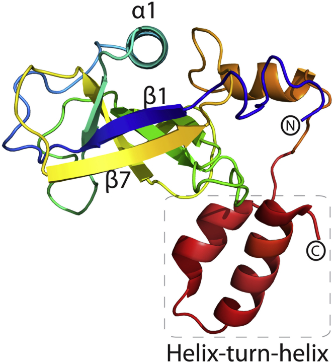 Figure 4