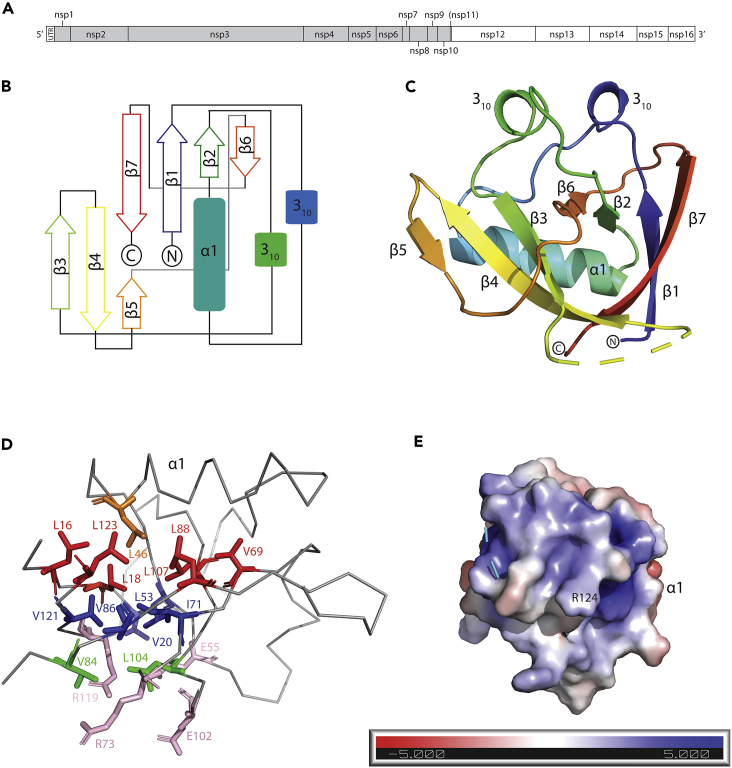 Figure 1