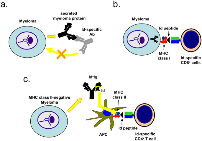 Fig. 1a–c