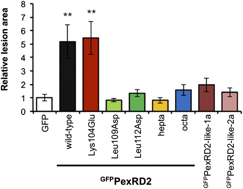 Figure 5.