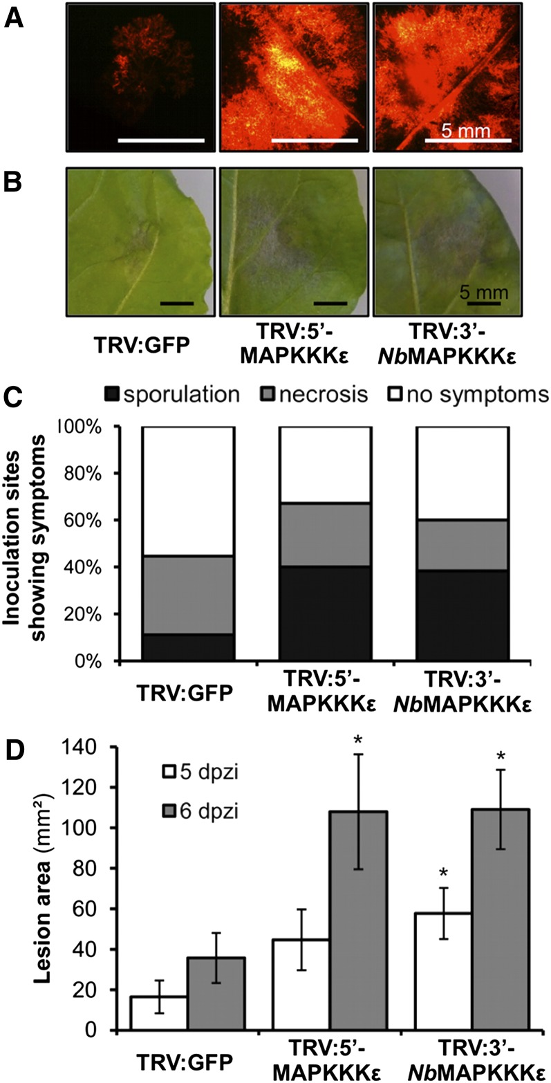 Figure 6.