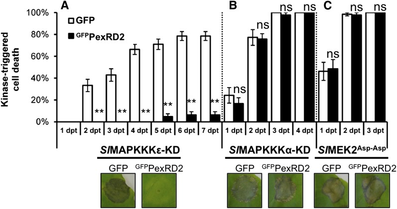 Figure 7.