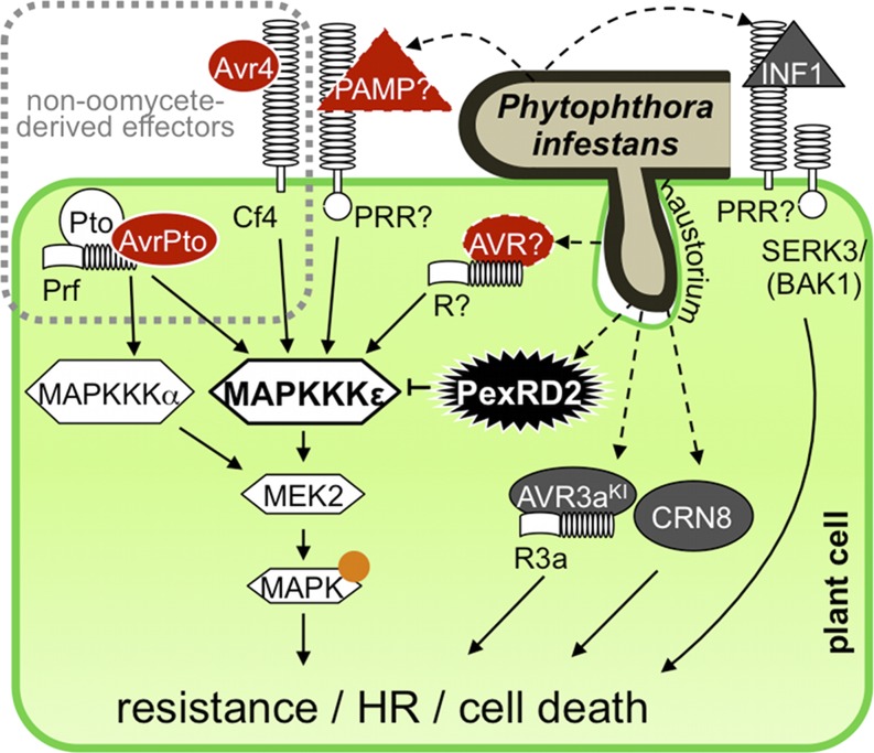 Figure 11.