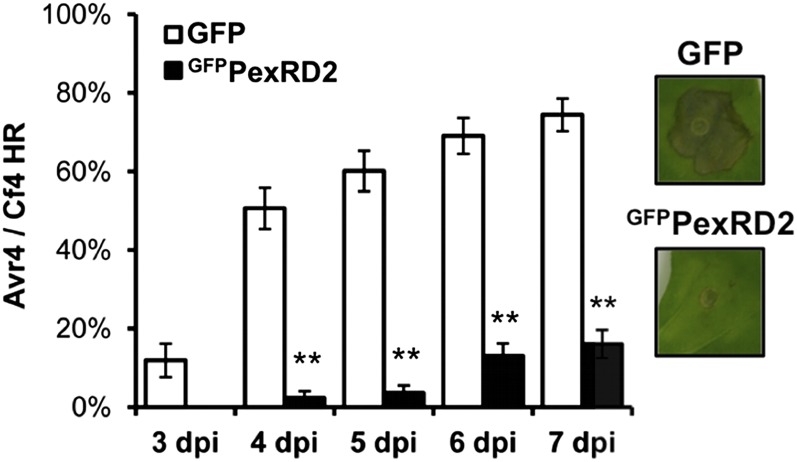 Figure 9.