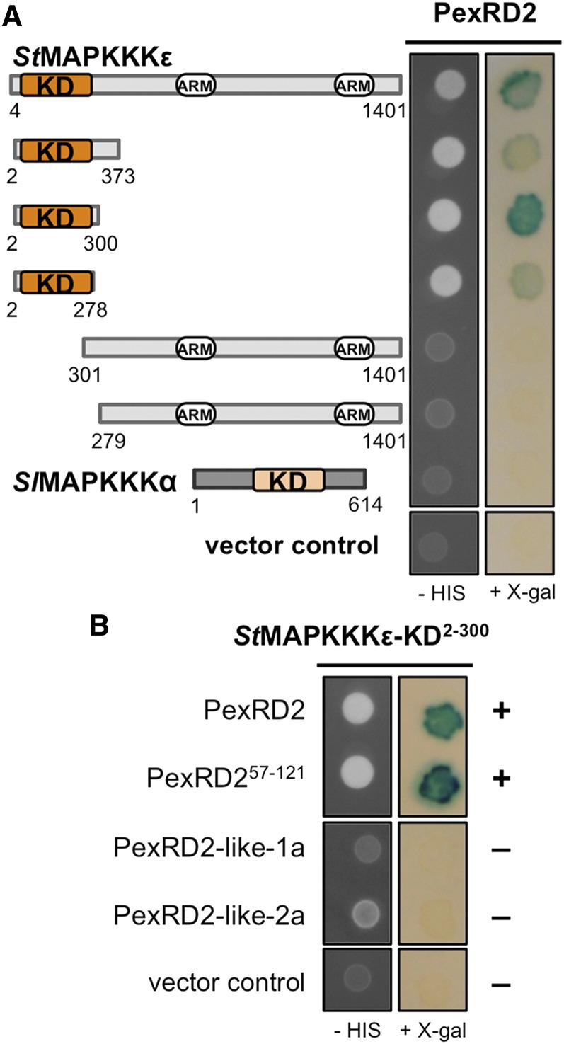 Figure 2.