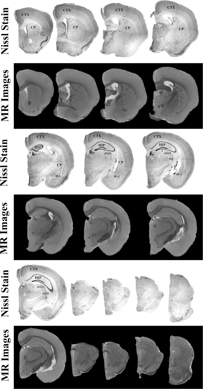 Fig. 6