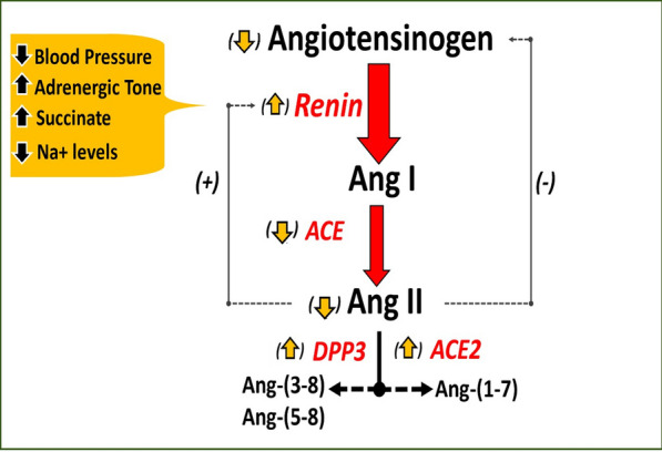 Fig. 1