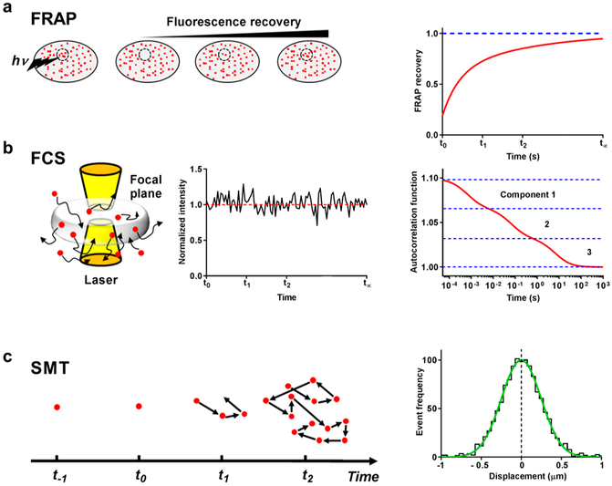 Figure 23.