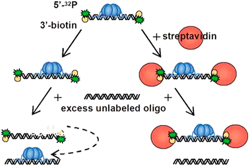 Figure 18.