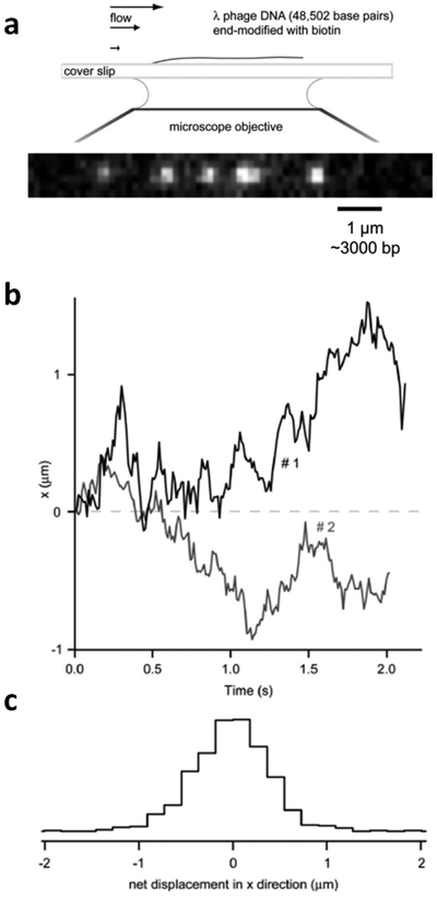 Figure 12.