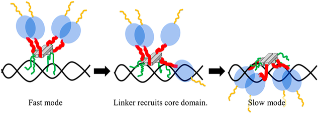 Figure 22.