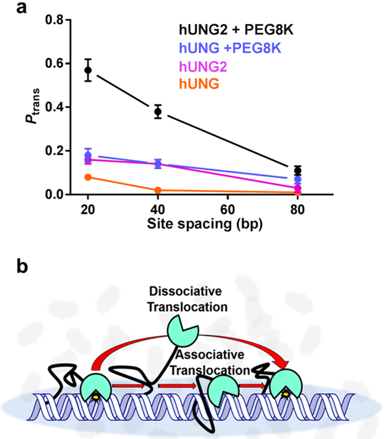 Figure 10.