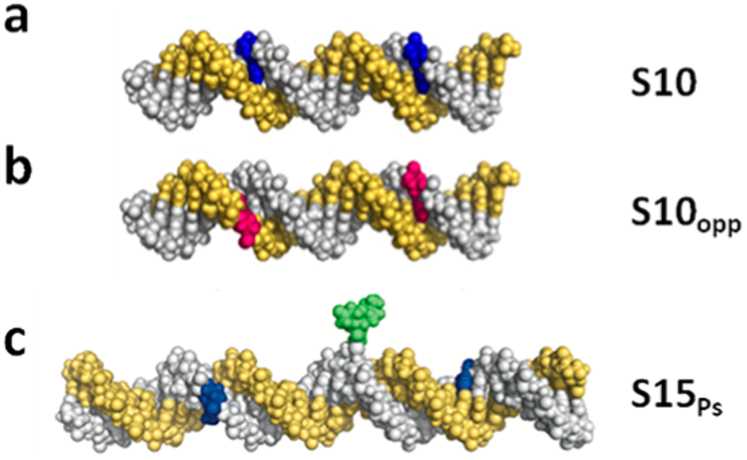 Figure 13.