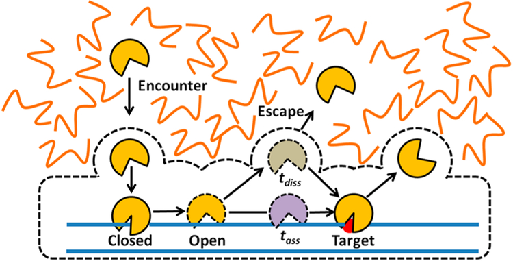 Figure 9.