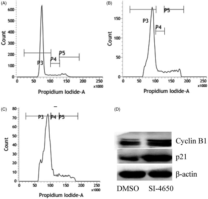 Figure 5.