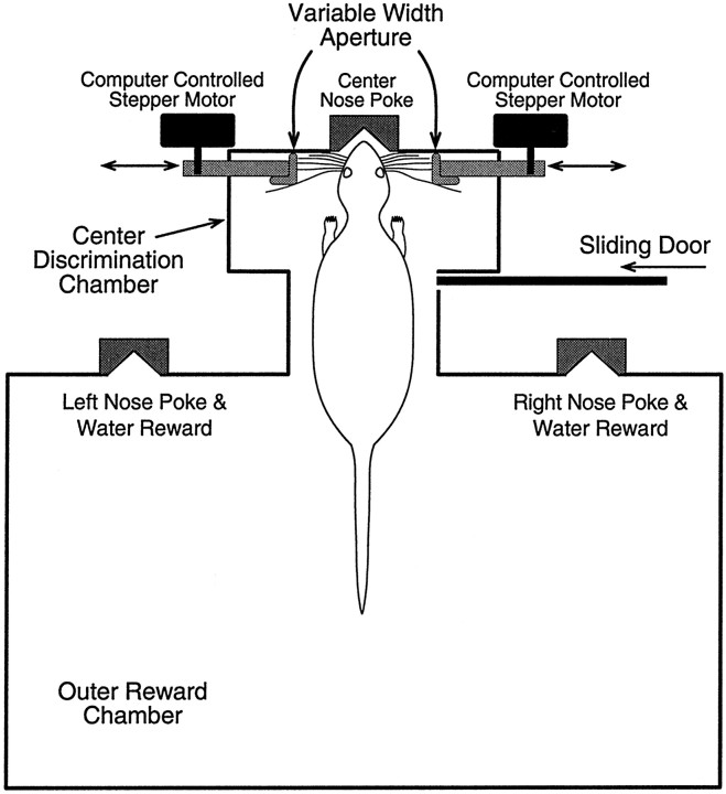 Fig. 1.