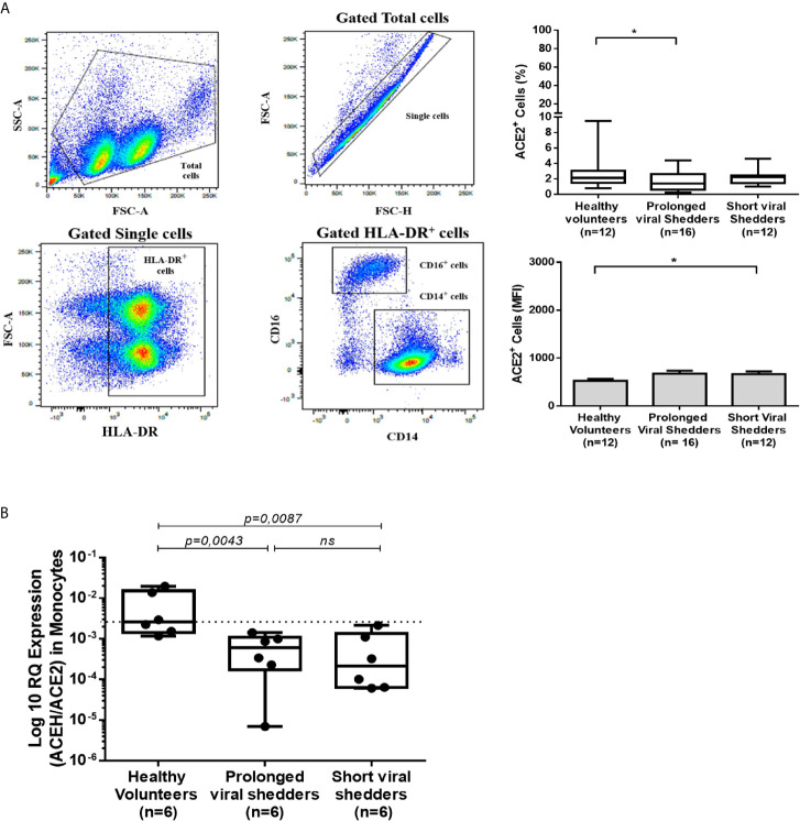 Figure 2