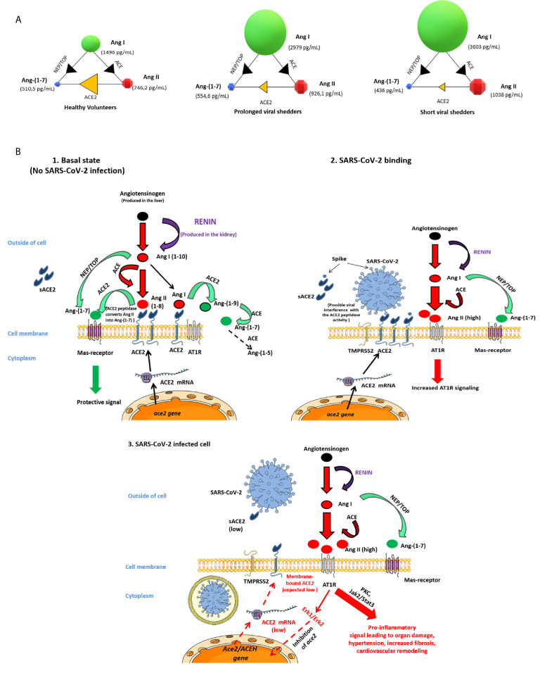 Figure 5