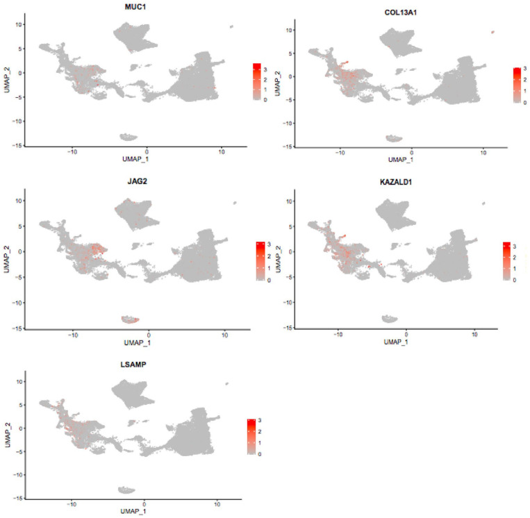 Figure 2.