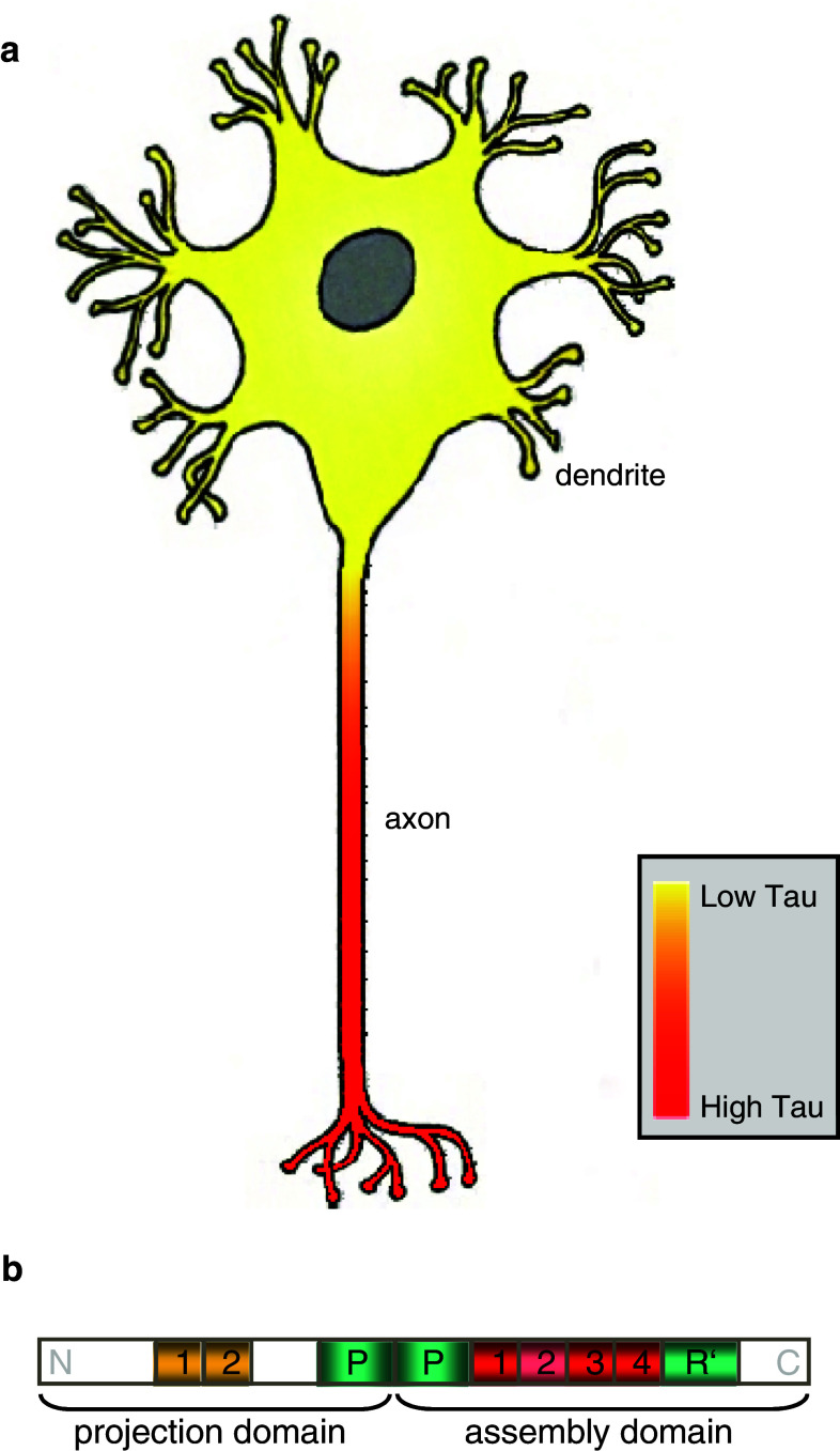 Fig. 1