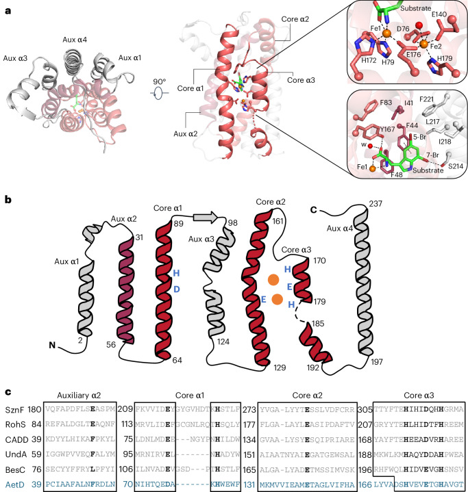 Fig. 2