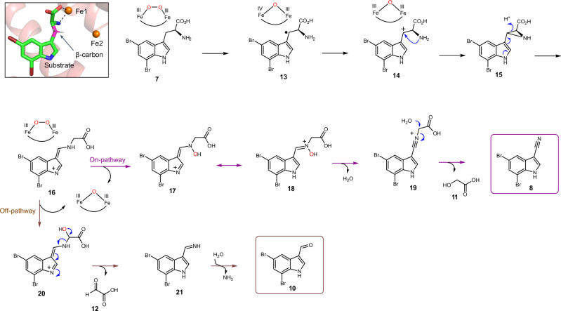 Fig. 6