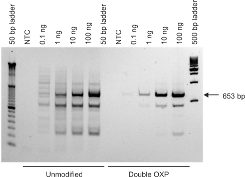 Figure 10.