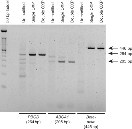 Figure 12.