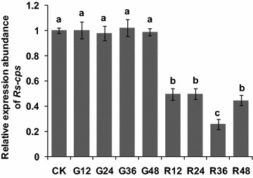 Fig. 7