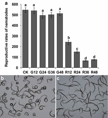 Fig. 8