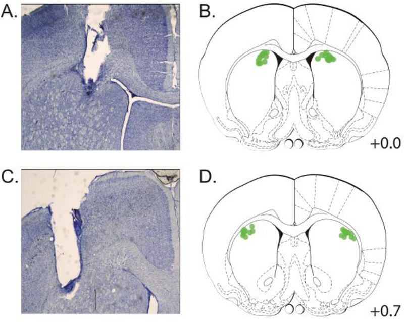 Figure 1: